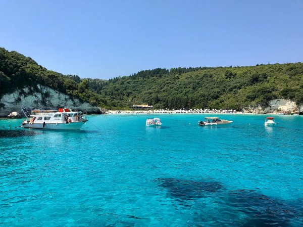 Paxos - Antipaxos